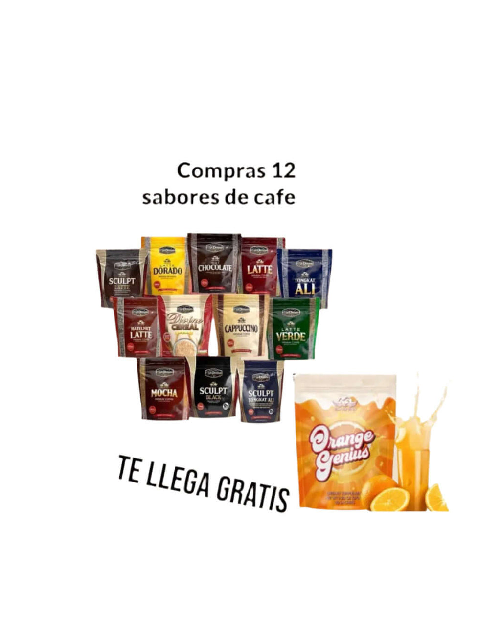 COMBO DE 12-Coffee Café Vida Divina