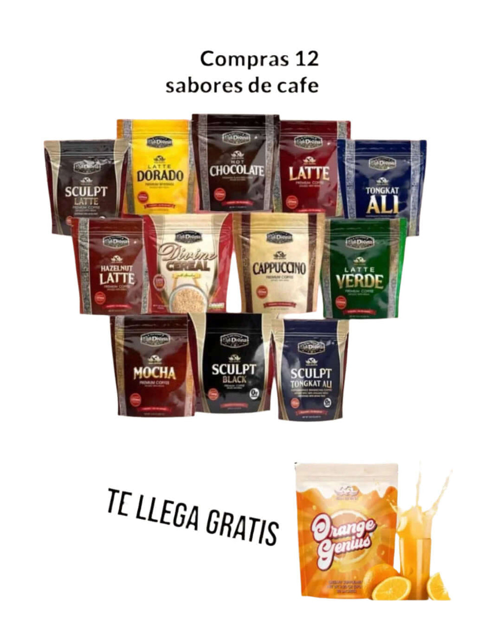 COMBO DE 12-Coffee Café Vida Divina
